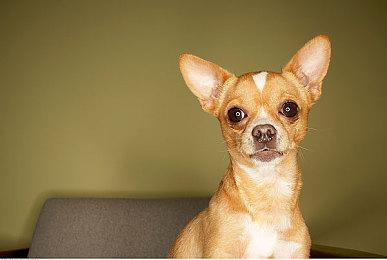 《生化危机4：重制版》全球销量已超800万套